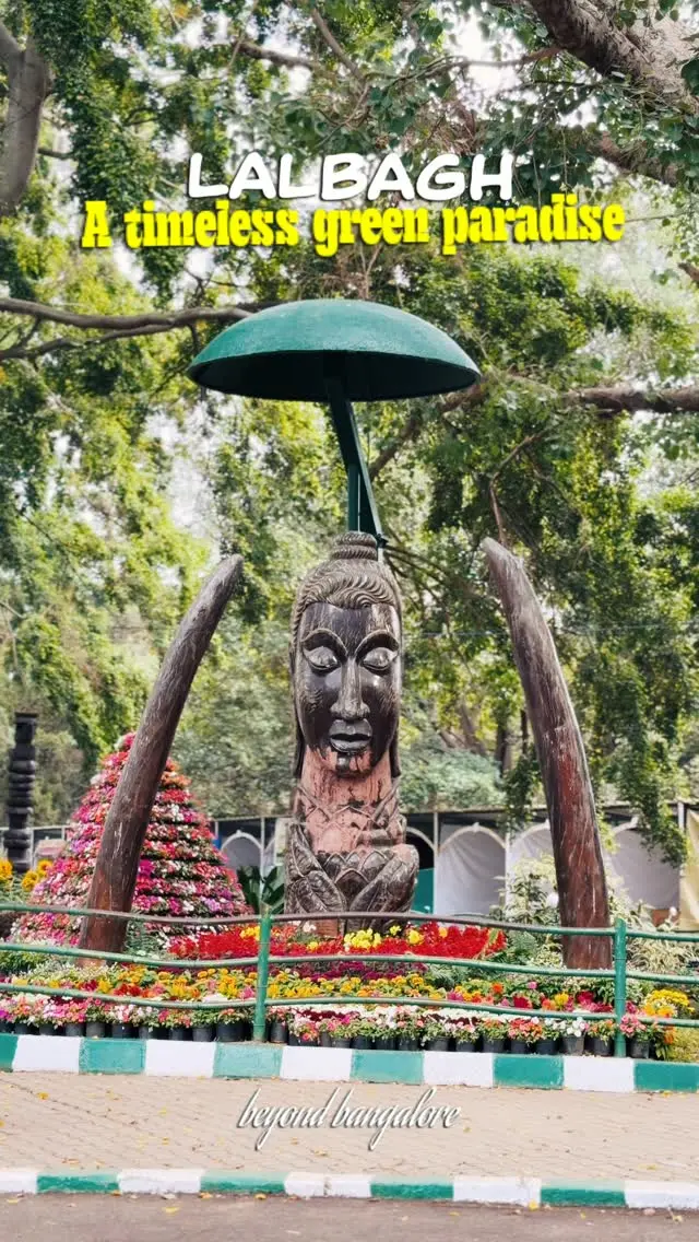 Lalbagh mornings